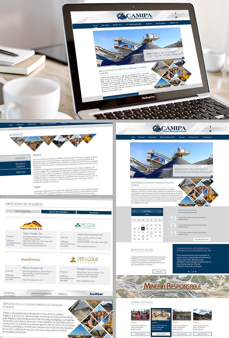 Desarrollo Web Camipa