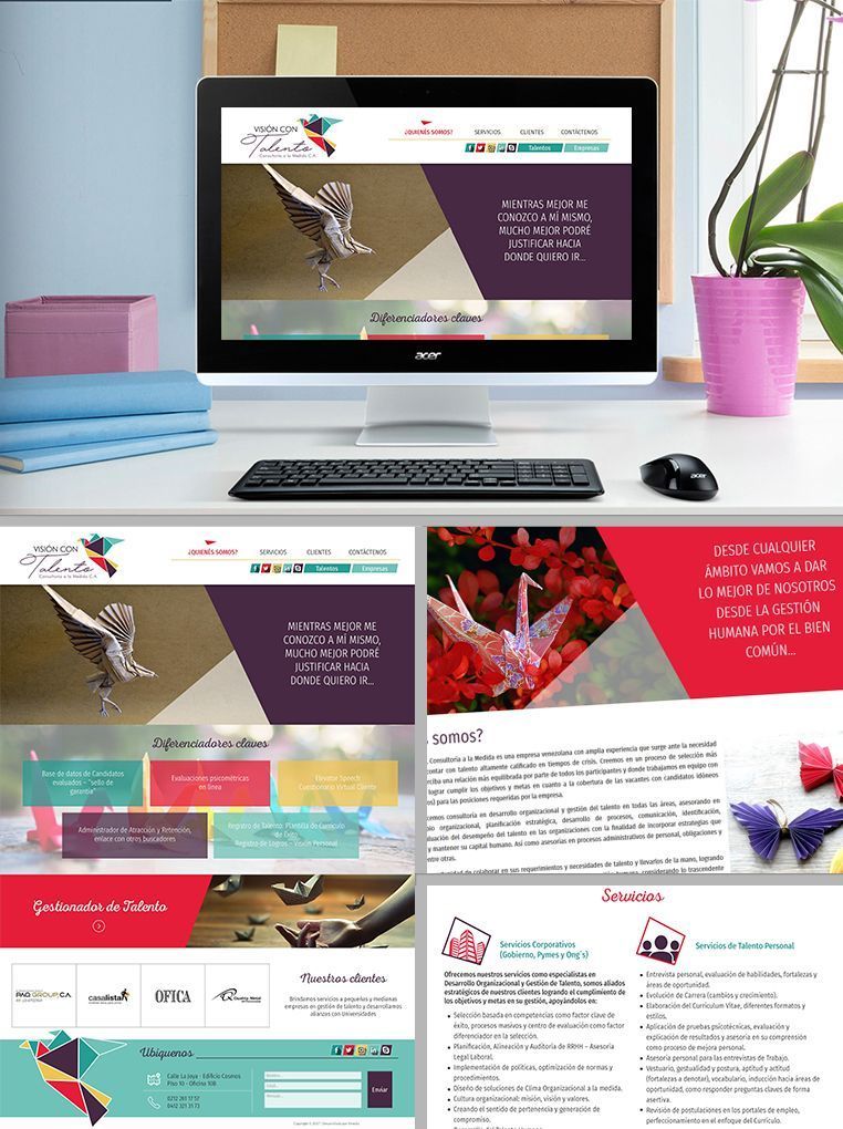 Desarrollo Web VCT